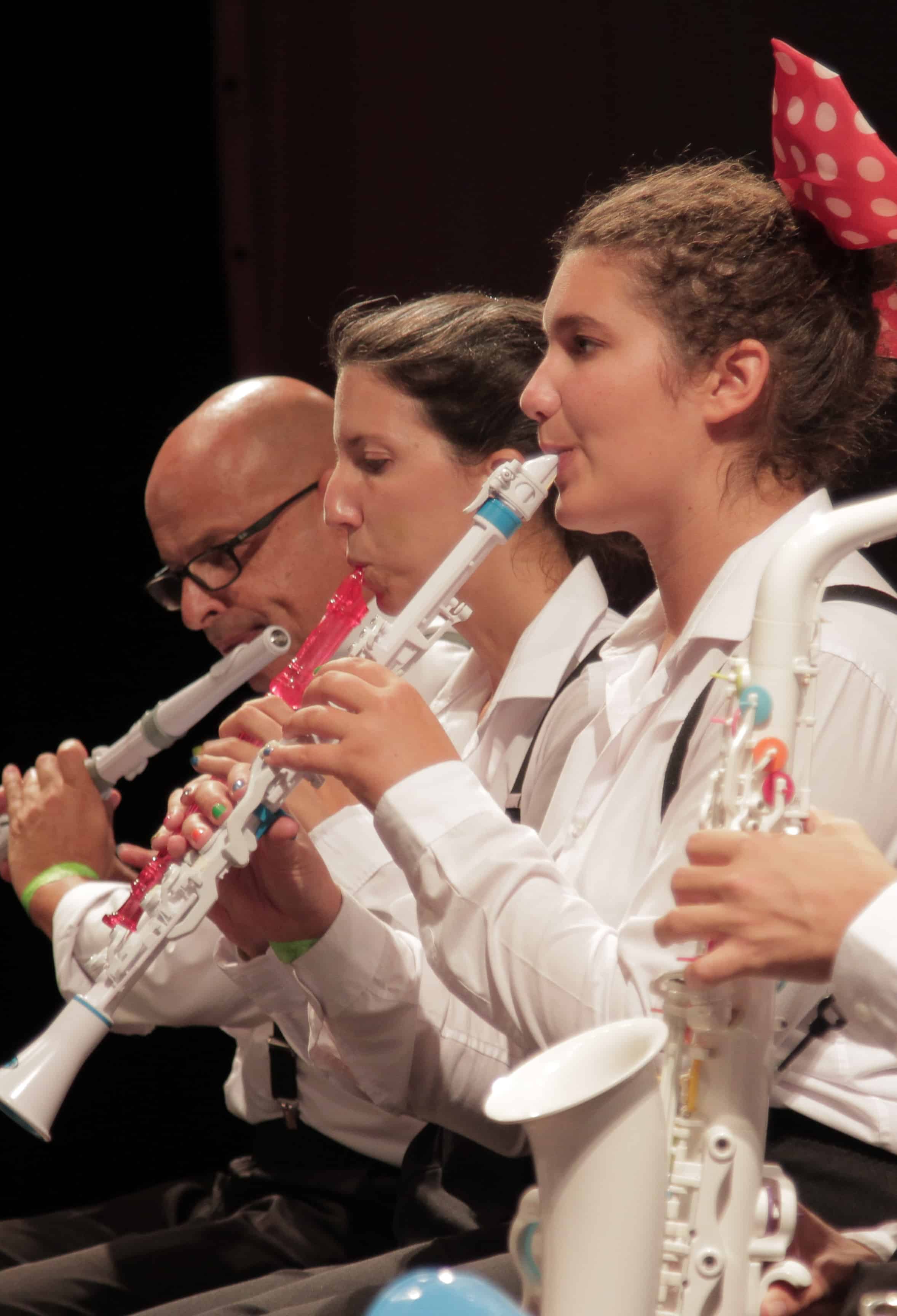 Tudo sobre O CARNAVAL DOS ANIMAIS, de Saint-Saëns 